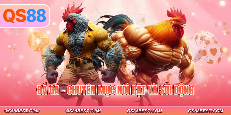 Đá gà - Chuyên mục nổi bật và sôi động